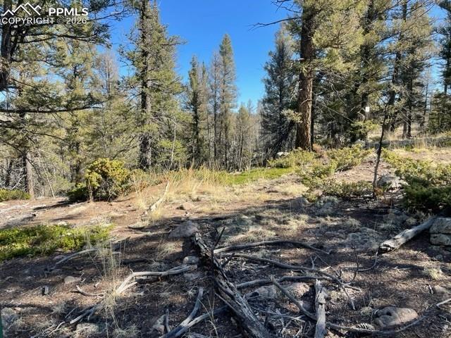 228 Alpine Dr, Florissant, CO 80816