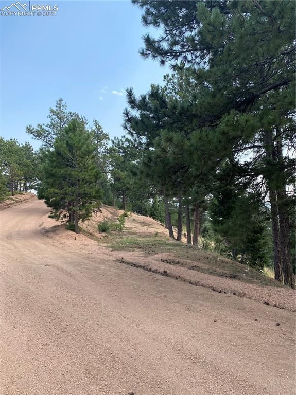 2288 Badger Dr, Larkspur, CO 80118