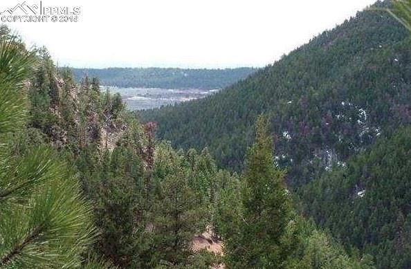 2298 Elk Park Rd, Larkspur, CO 80018