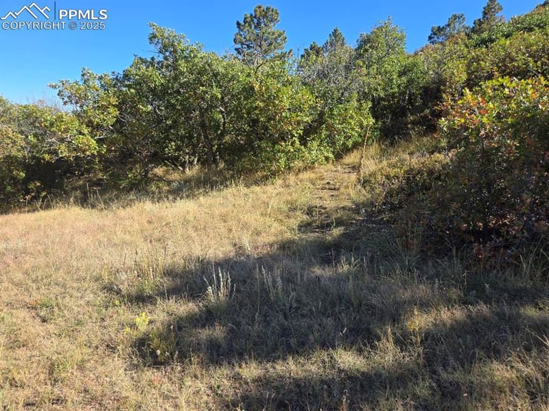 23 15th St, Colorado Springs, CO 80926