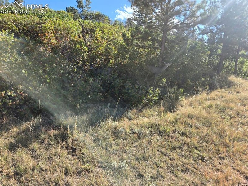 23 15th St, Colorado Springs, CO 80926