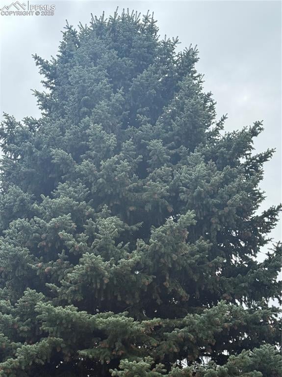 23 15th St, Colorado Springs, CO 80926