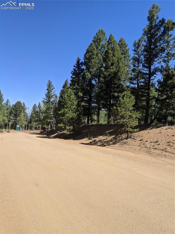 230 Pinon Lake Dr, Divide, CO 80814