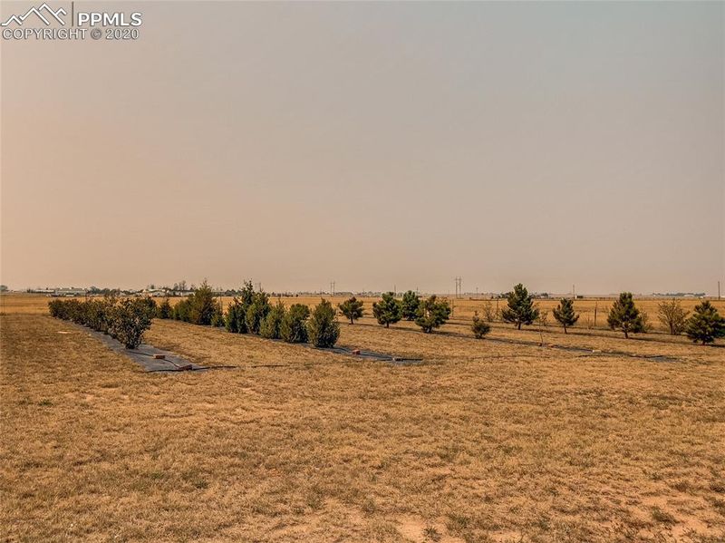 23045 Jones Rd, Calhan, CO 80808
