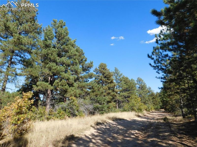 2312 Senecio Cir, Larkspur, CO 80118