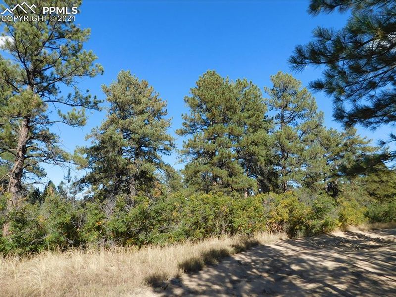 2312 Senecio Cir, Larkspur, CO 80118