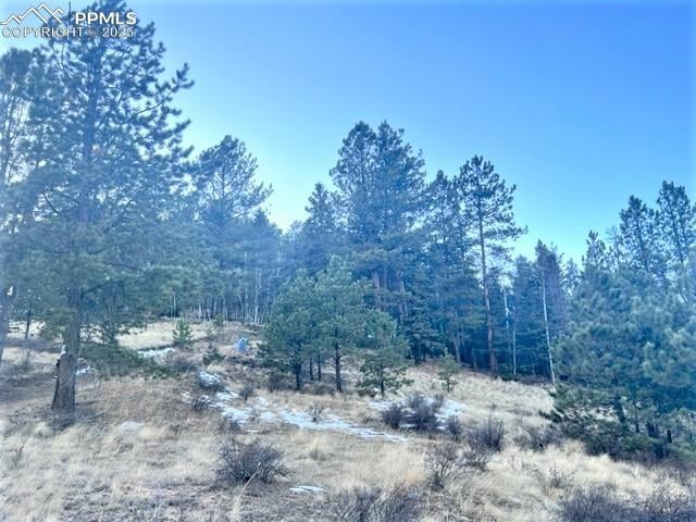 233 Rabbil Creek Dr, Florissant, CO 80816