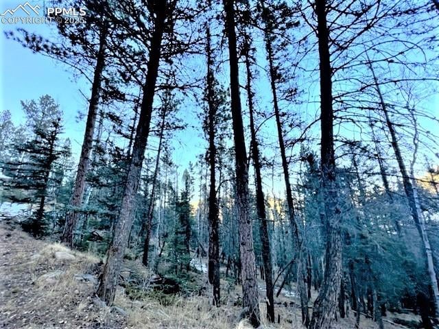 233 Rabbil Creek Dr, Florissant, CO 80816