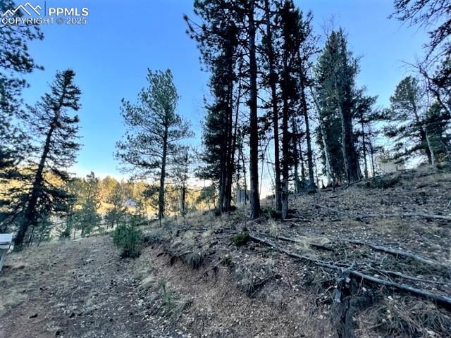 233 Rabbil Creek Dr, Florissant, CO 80816