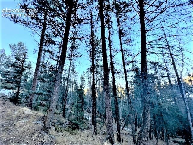 233 Rabbil Creek Dr, Florissant, CO 80816