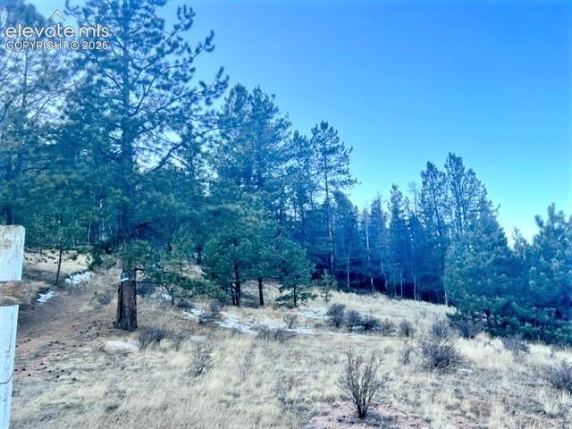 233 Rabbil Creek Trl, Florissant, CO 80816