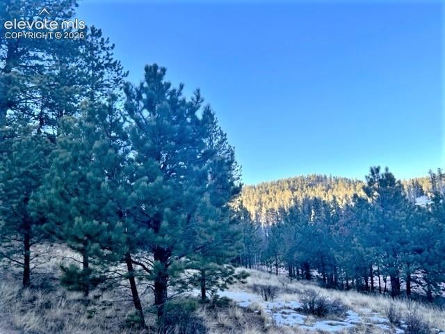 233 Rabbil Creek Trl, Florissant, CO 80816