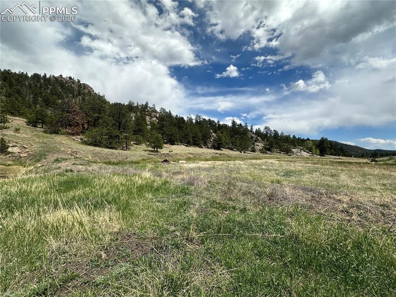 2332 County Rd, Florissant, CO 80816