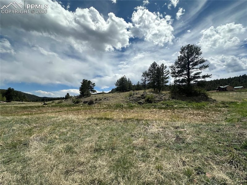 2332 County Rd, Florissant, CO 80816
