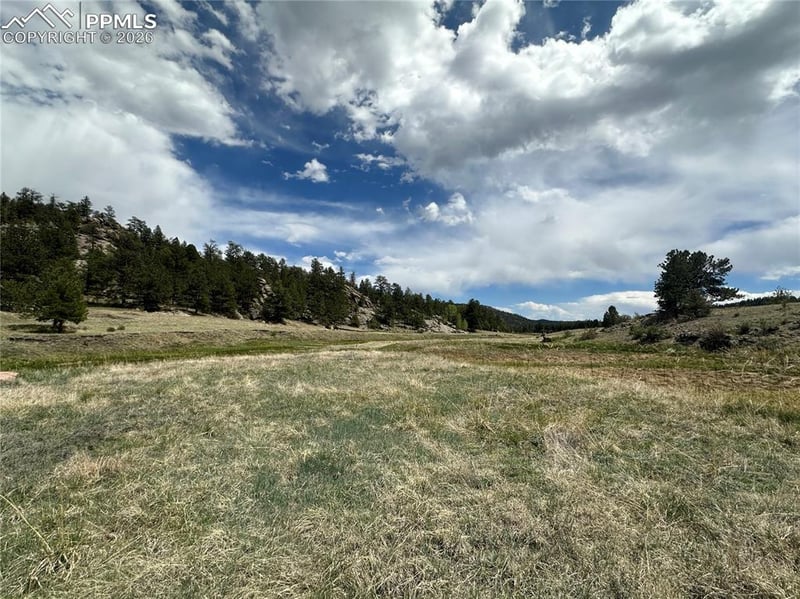 2332 County Rd, Florissant, CO 80816