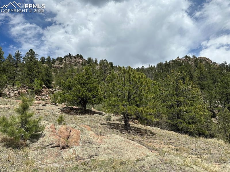 2332 County Rd, Florissant, CO 80816