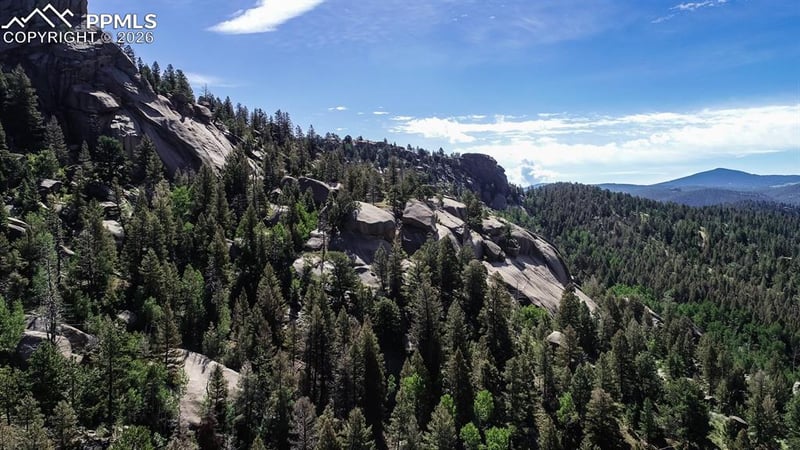 235 Hay Creek Rd, Florissant, CO 80816