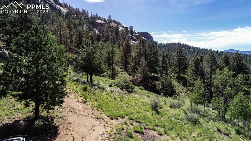 235 Hay Creek Rd, Florissant, CO 80816