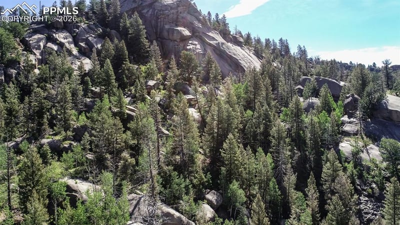 235 Hay Creek Rd, Florissant, CO 80816