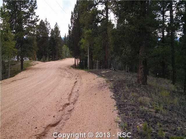 235 Spruce Creek Dr, Divide, CO 80814