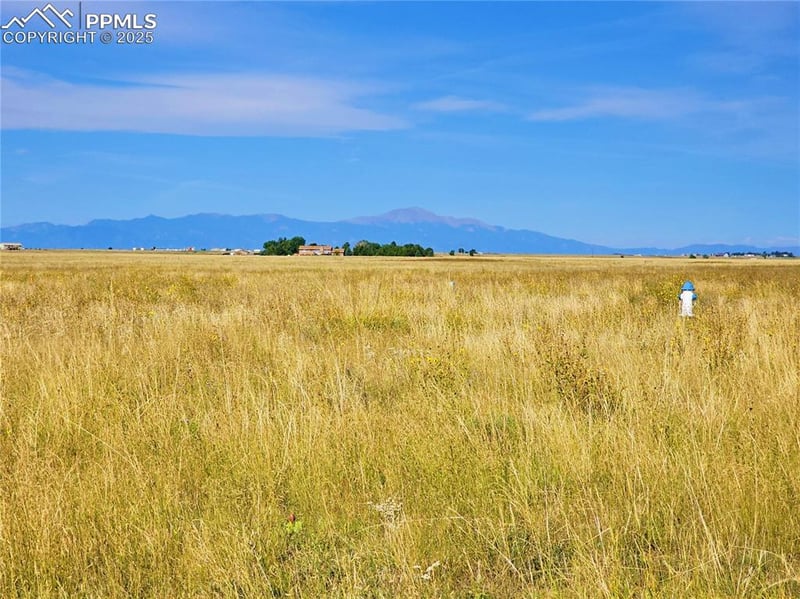 23712 Redtail Dr, Colorado Springs, CO 80928