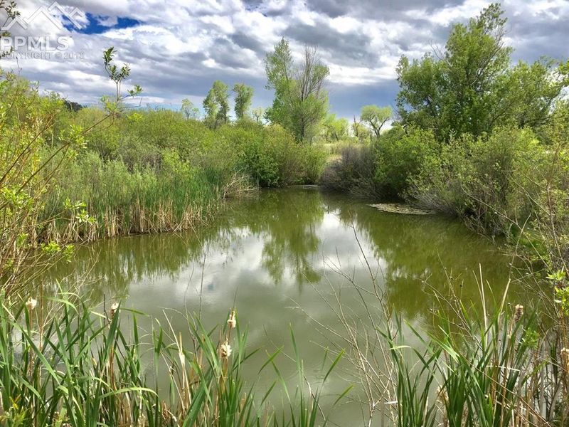 23876 Elbert St, Elbert, CO 80106