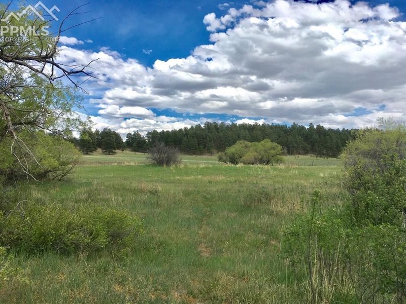 23876 Elbert St, Elbert, CO 80106