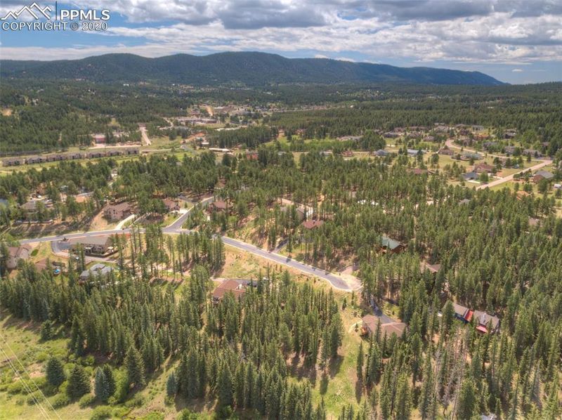 240 Iron Eagle Point, Woodland Park, CO 80863