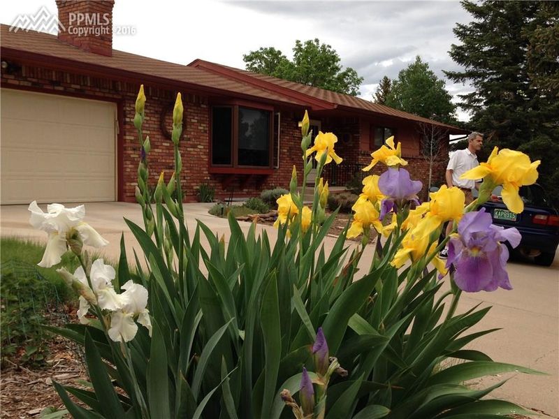 2408 Virgo Dr, Colorado Springs, CO 80906