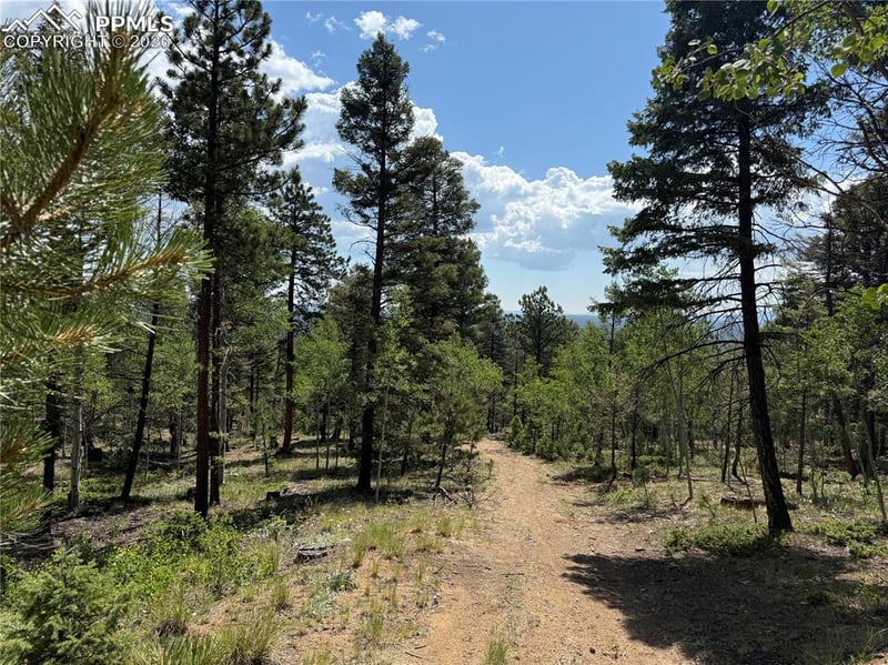 242 Apache Creek Dr, Florissant, CO 80816