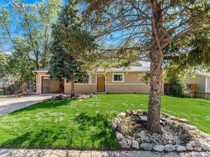 2445 Nadine Dr, Colorado Springs, CO 80916