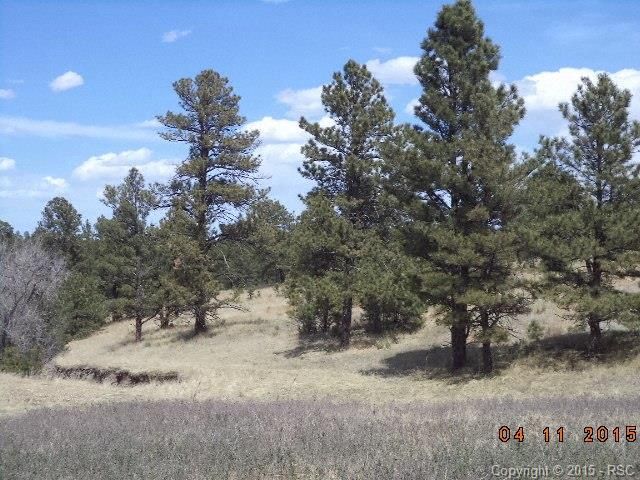 24604 County Road 150, Kiowa, CO 80117