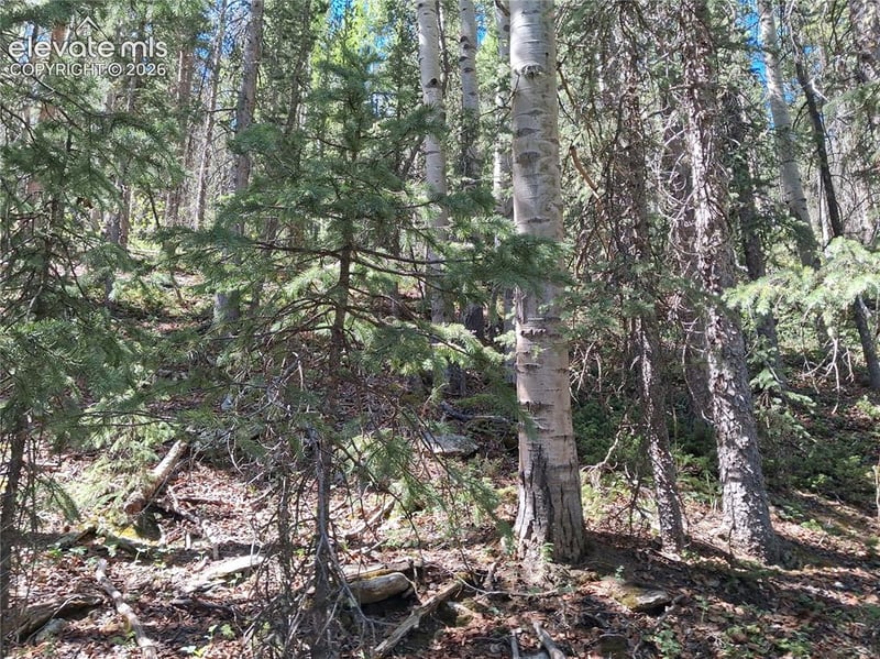 2462 Anges Dr, Cripple Creek, CO 80813