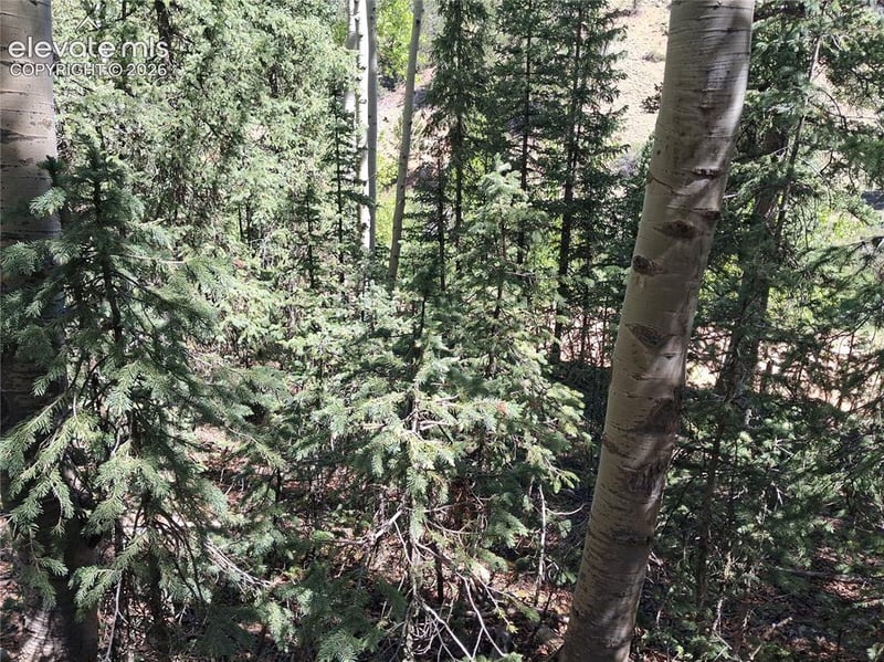 2462 Anges Dr, Cripple Creek, CO 80813