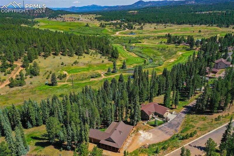 250 Iron Eagle Point, Woodland Park, CO 80863