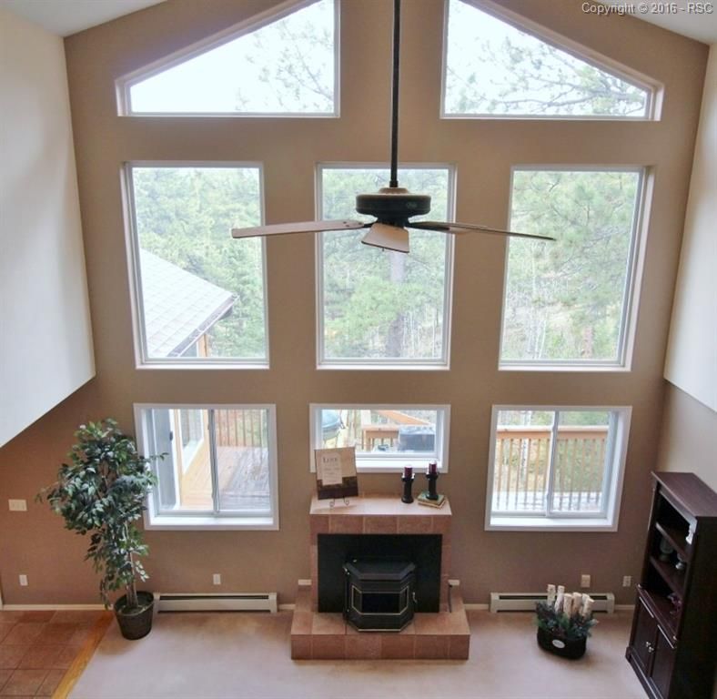 251 Blue Mesa Dr, Divide, CO 80814