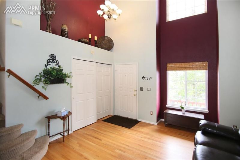 251 Candletree Cir, Monument, CO 80132