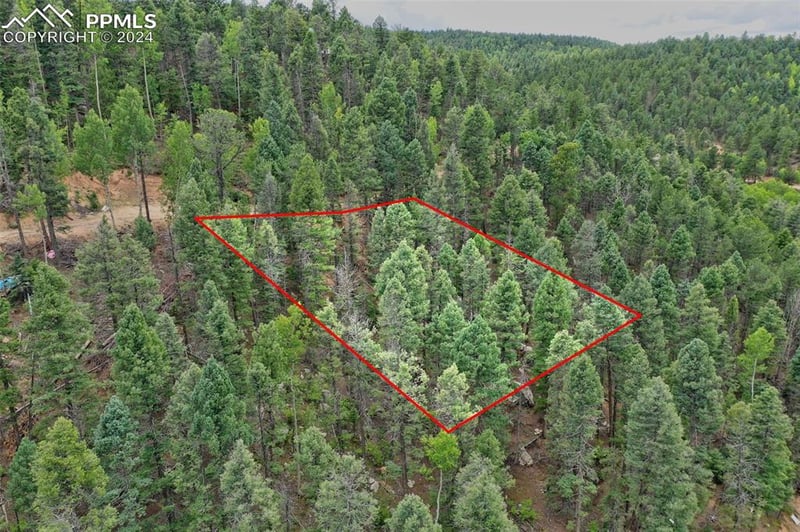 251 Osoeola Rd, Woodland Park, CO 80863