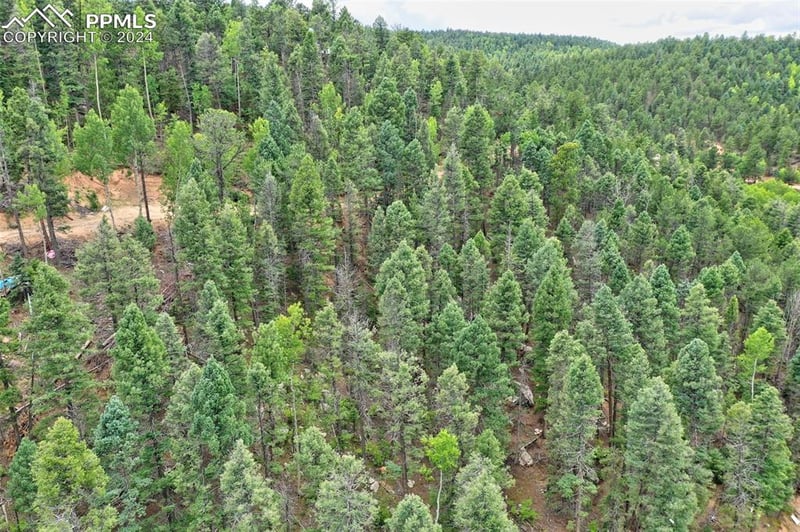 251 Osoeola Rd, Woodland Park, CO 80863