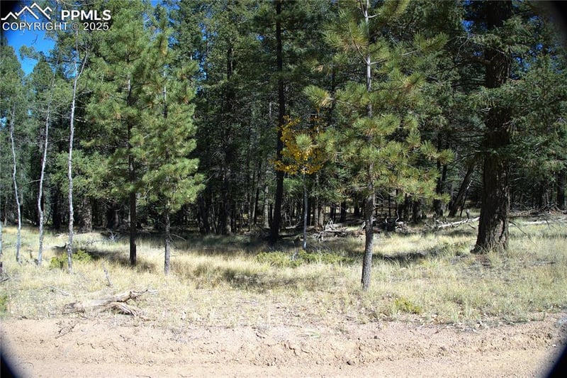 252 Southpark Rd, Florissant, CO 80816