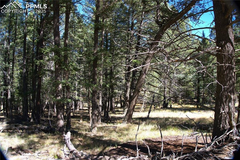 252 Southpark Rd, Florissant, CO 80816