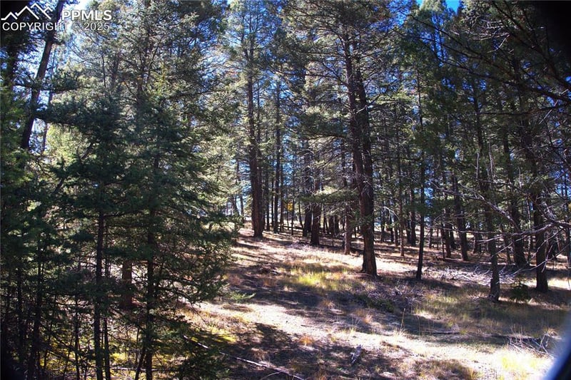 252 Southpark Rd, Florissant, CO 80816