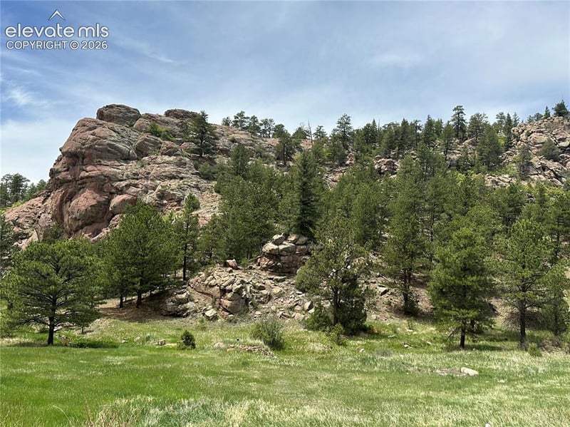 253 Bernard Creek Dr, Florissant, CO 80816