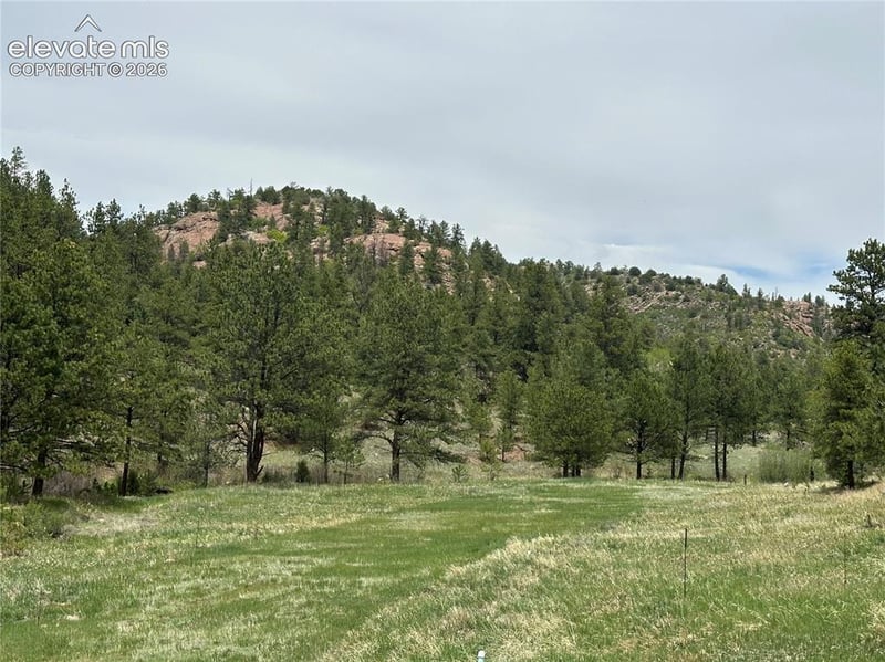 253 Bernard Creek Dr, Florissant, CO 80816