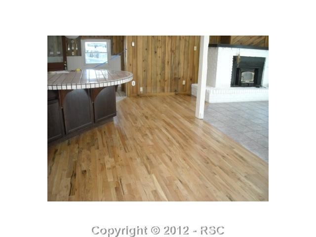 253 Maroon Lake Dr, Divide, CO 80814