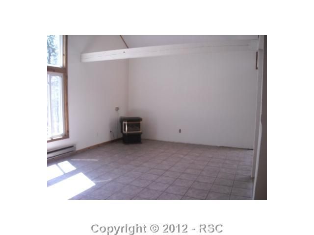 253 Maroon Lake Dr, Divide, CO 80814
