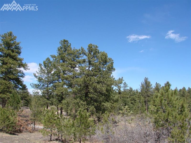 2547 Senecio Dr, Larkspur, CO 80118