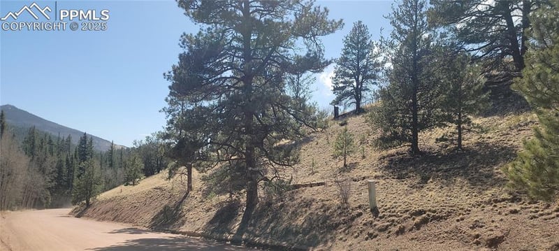 257 Portland Dr, Cripple Creek, CO 80813