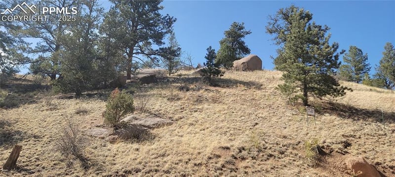 257 Portland Dr, Cripple Creek, CO 80813