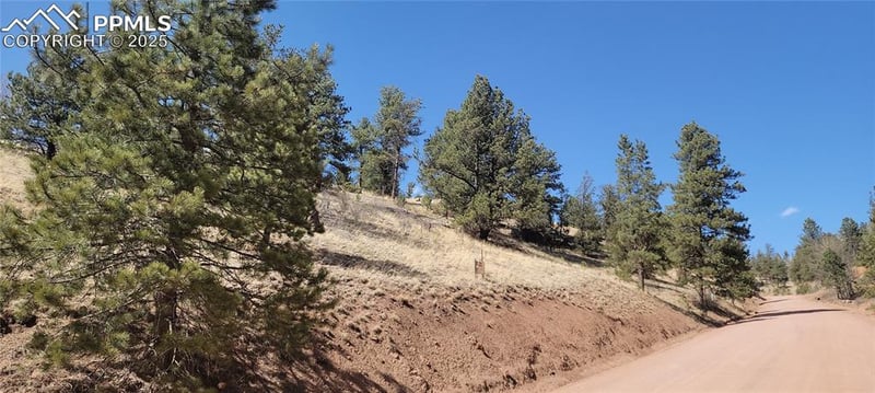 257 Portland Dr, Cripple Creek, CO 80813
